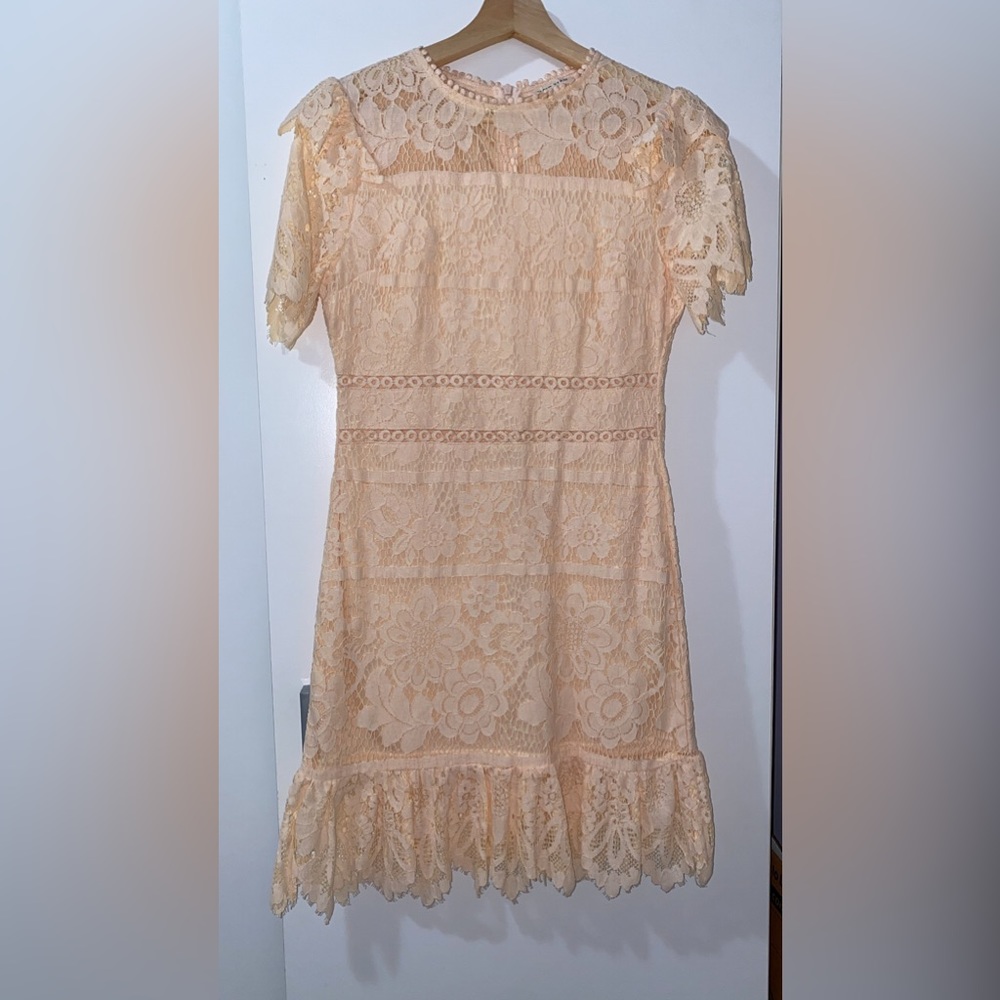 MAIN STRIP DRESS